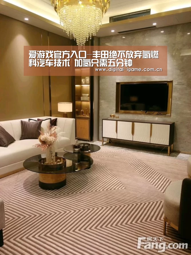 爱游戏官方入口-丰田绝不放弃氢燃料汽车技术 加氢只需五分钟(图2) 爱游戏官方入口