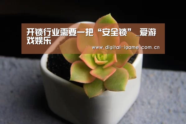 开锁行业需要一把“安全锁”_爱游戏娱乐(图2)