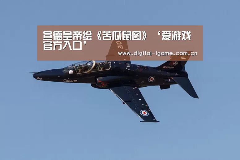 宣德皇帝绘《苦瓜鼠图》‘爱游戏官方入口’(图2) 爱游戏官方入口