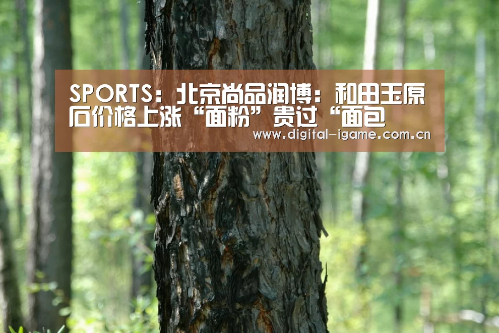SPORTS：北京尚品润博：和田玉原石价格上涨“面粉”贵过“面包(图1)