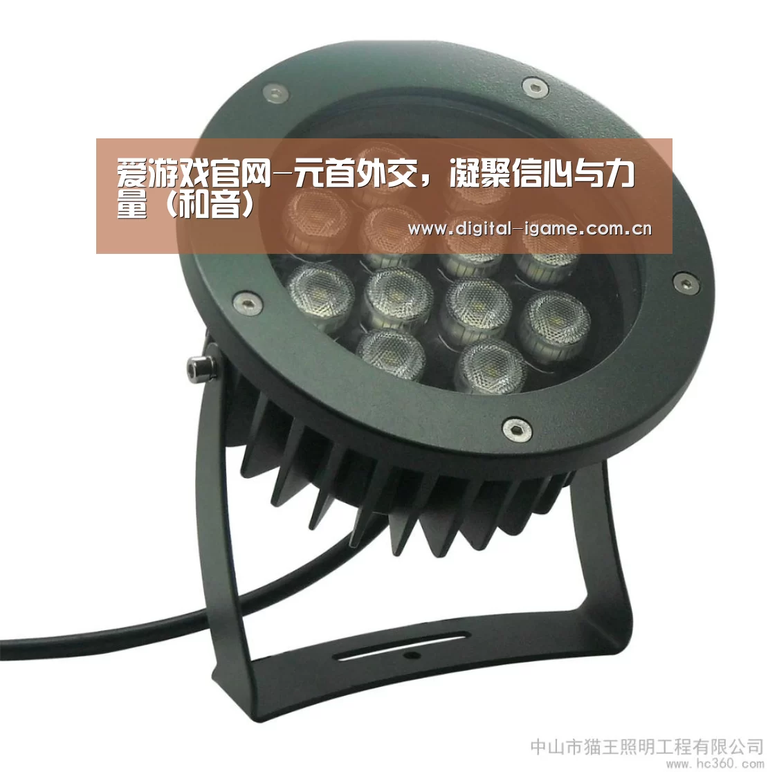 爱游戏官网-元首外交,凝聚信心与力量(和音)(图1) 爱游戏官网-元首外交,凝聚信心与力量(和音)(图1)