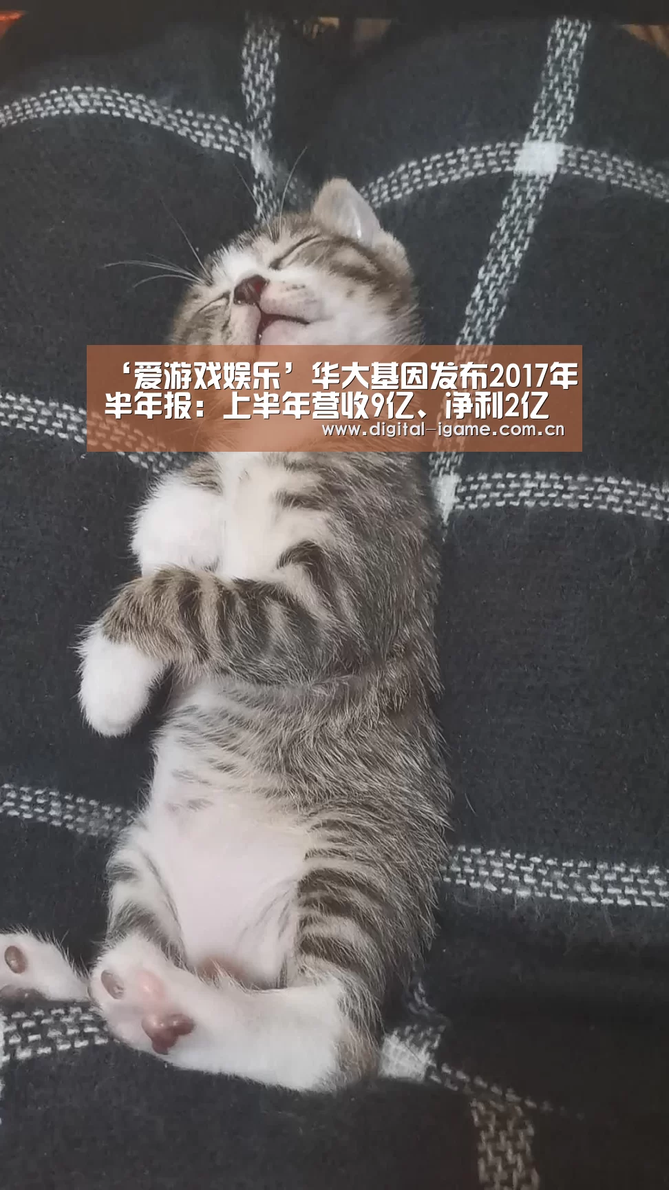 ‘爱游戏娱乐’华大基因发布2017年半年报:上半年营收9亿、净利2亿(图1) 爱游戏娱乐