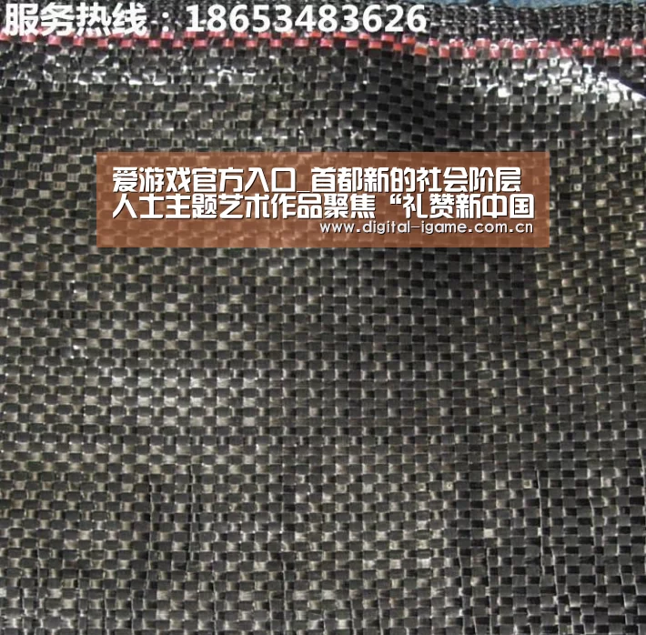 爱游戏官方入口_首都新的社会阶层人士主题艺术作品聚焦“礼赞新中国”(图2) 爱游戏官方入口_首都新的社会阶层人士主题艺术作品聚焦“礼赞新中国”(图2)